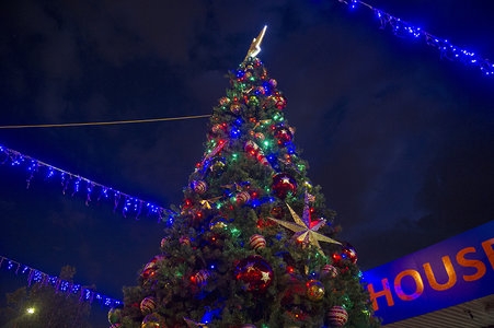 2015 Tree Lighting - Christmas